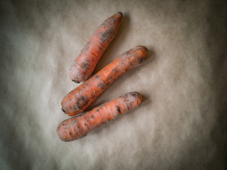 Dirty orange carrots on a dark background 