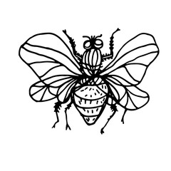 Butterflies and insects are hand-drawn. Vector doodles. Butterflies for coloring. Coloring pages for children, butterflies, chitocose, beetle. Logo, print, ornament. Design element.