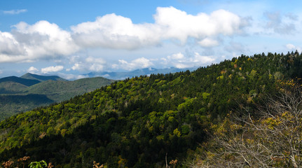Fototapeta na wymiar Autumn in the Appalachian Mountains Viewed Along the Blue Ridge Parkway