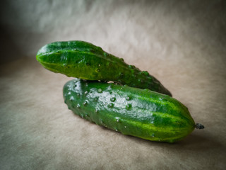 Fresh green cucumber on a dark background