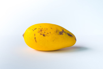The picture of ripe and raw mangoes on a white scene