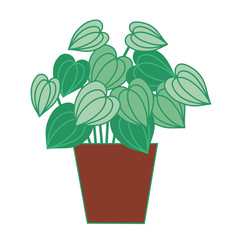 Vector house plants. Can be used as print, postcard, sticker. invitation, web, book or magazine or book illustration, packaging design, element design, textile.