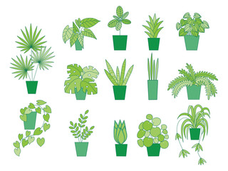 Vector house plants. Can be used as print, postcard, sticker. invitation, web, book or magazine or book illustration, packaging design, element design, textile.