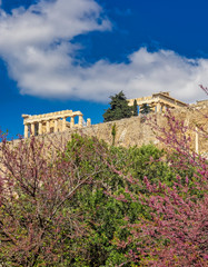 sprintime in Athens Greece, parthenon temple on acropolis hilll and lilac trees with violet flowers