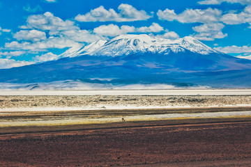 Altiplanic salar