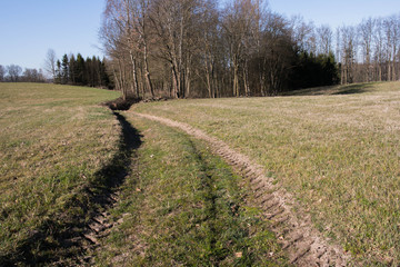 A dirt road to the forest. A small forest behind the hill. Meadows in Kashubia.