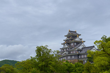 Fototapeta na wymiar Castle of Okayama