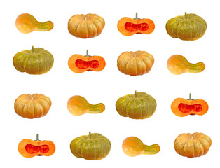 Set of different pumpkins and squash isolated on white.