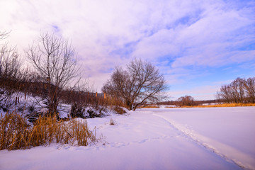 View of a snow-covered meadow on the outskirts of the village with a lone tree in the center