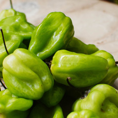 Chile habanero verde para stock 