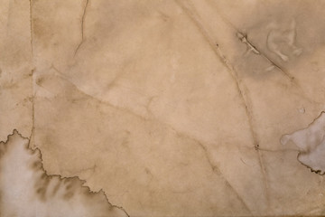 Coffee stains on paper