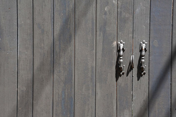 Grey wood door - or gray wooden plank surface texture background - vintage style