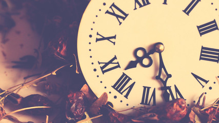 Fototapeta premium An old clock with Roman numerals and medicinal herbs, ancient medicine. Vintage.