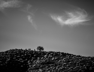 Mountain biker silhouette on desert ridge line in black and white