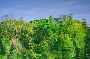 Reflection in water. contours of green trees or shrubs are reflected in clear water. Ripples and...
