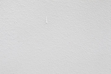 Painted Wall Texture