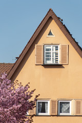 facades of historical framework buildings