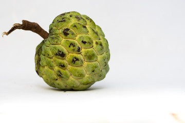 popularmente fruta-do-conde  ou ata no Brasil