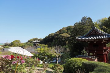 Obraz premium 当麻寺の牡丹