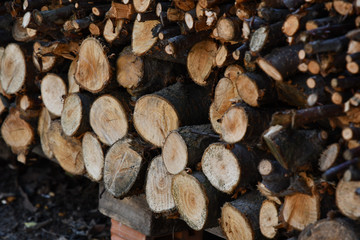 Stack of wood. Natural wooden textures of sawed woods stacked in pile. Timber industry concept