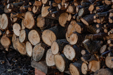 Stack of firewood. Weathered wooden textures of sawed woods stacked in pile. Timber industry concept
