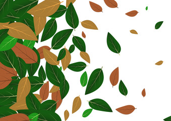 Vector : Green and brown leaves background
