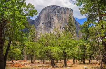 Looking up at El Capitan in Yosemite National Park