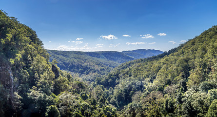 View from Pearling Brook lookout over the green forest trees