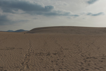 panorama island fuerteventura island in the desert