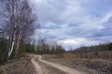 Obraz na płótnie Canvas Early spring in central Russia. Country road, birch trees. Heavy gray clouds.