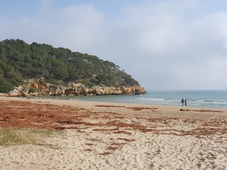 tropical beach in thailand