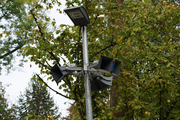 lamp post in the park