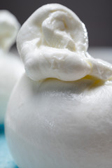 Cheese collection, fresh soft white burrata cheese ball made from mozzarella and cream from Apulia, Italy
