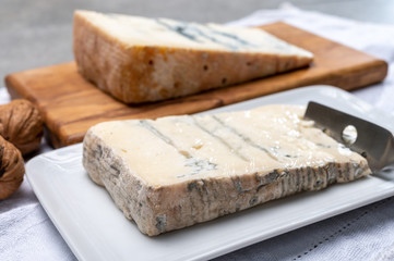 Italian food, buttery or firm blue cheese made from cow milk in Gorgonzola, Milan, Italy