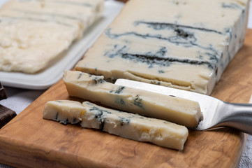 Italian food, buttery or firm blue cheese made from cow milk in Gorgonzola, Milan, Italy
