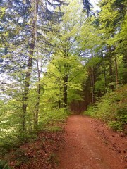 Wanderweg