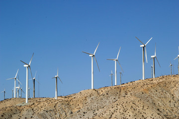 Landscape with Wind Turbines Coachella Valley California