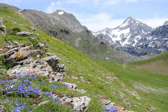 pirineos