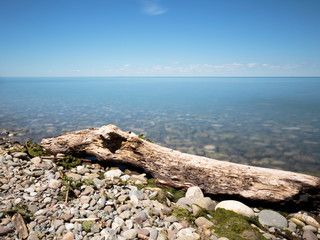 Driftwood washed up on a shingle beach at Queen's Royal Park. The park sits at the mouth of the...