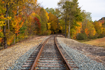 Fototapeta na wymiar Beautiful autumnal trees along a deserted railway track at sunset