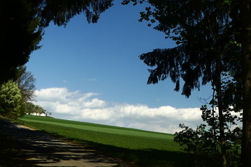 Grünland in der buckligen Welt