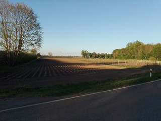 Fototapeta premium Spring