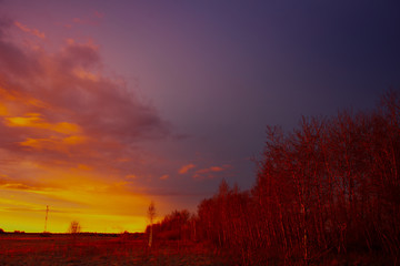 beautiful spring sunset in red colors
