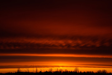 beautiful spring sunset in red colors