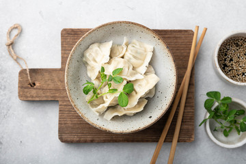 Korean dumplings with soy sauce on a white background , asian food.