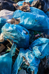 Piles of garbage in plastic bin bags.