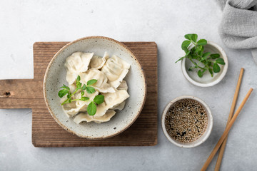 Korean dumplings with soy sauce on a white background , asian food.