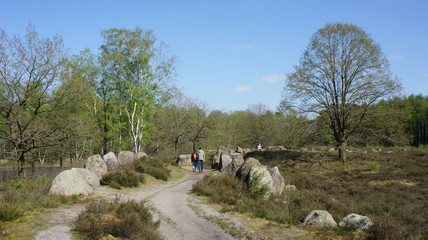 Fototapeta premium Wanderweg Huntepadd beim Großsteingrab Glaner Braut