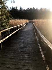 Marsh Boardwalk
