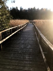 Obraz premium Marsh Boardwalk